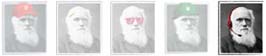 Grupo Darwin: Contacto